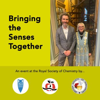 Bringing the senses together